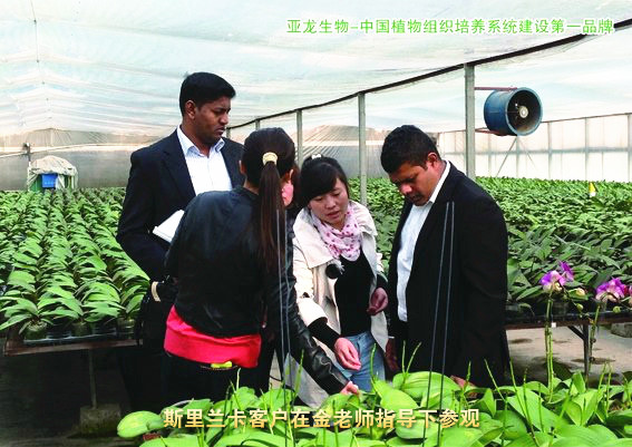 ��(j��)�ρ�������Ƽ����޹�˾