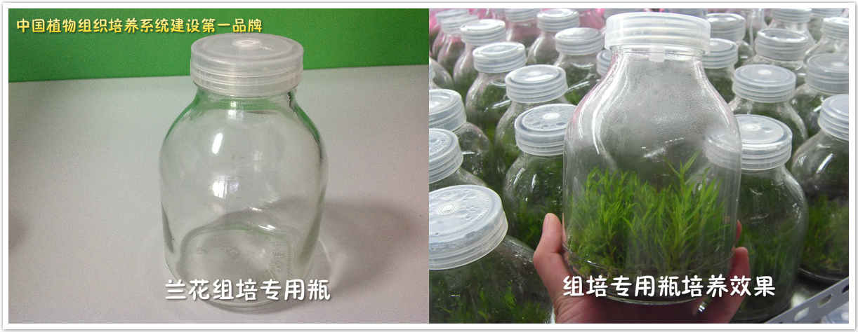 濟(jì)南亞龍生物科技有限公司 濟(jì)南亞龍生物科技有限公司