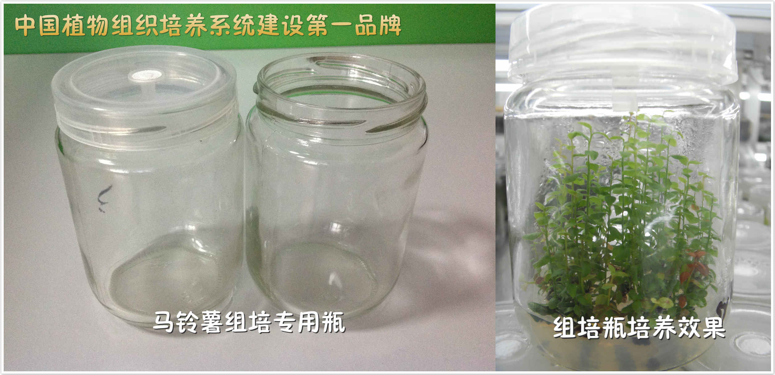 濟(jì)南亞龍生物科技有限公司 濟(jì)南亞龍生物科技有限公司