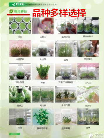 濟(jì)南亞龍生物科技有限公司 濟(jì)南亞龍生物科技有限公司