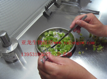 濟(jì)南亞龍生物科技有限公司 濟(jì)南亞龍生物科技有限公司