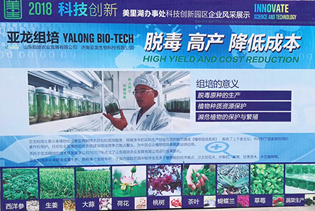 亞龍組培研發(fā)中心 亞龍組培研發(fā)中心