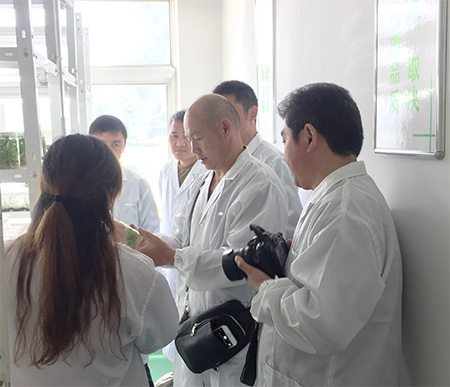 亞龍組培研發(fā)中心 亞龍組培研發(fā)中心