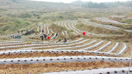 山東亞龍生物科技有限公司 山東亞龍生物科技有限公司